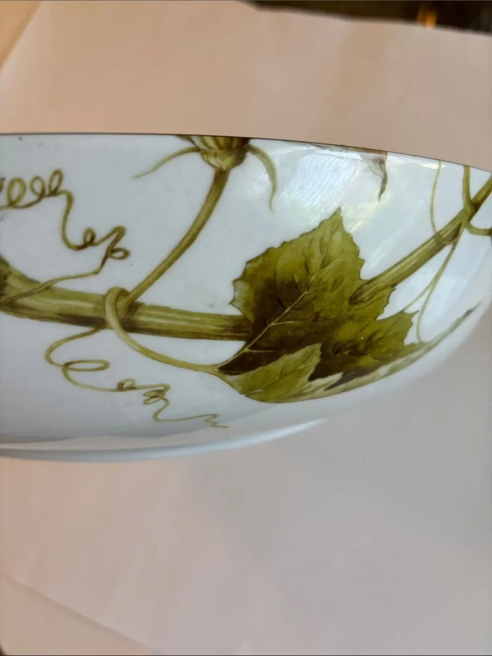 Williams Sonoma Botanical Pumpkin Large Serving Bowl Thanksgiving Autumn 14”
